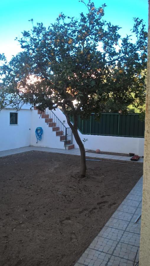 Casa Do Limoeiro Bed & Breakfast Quinta do Conde Exterior photo